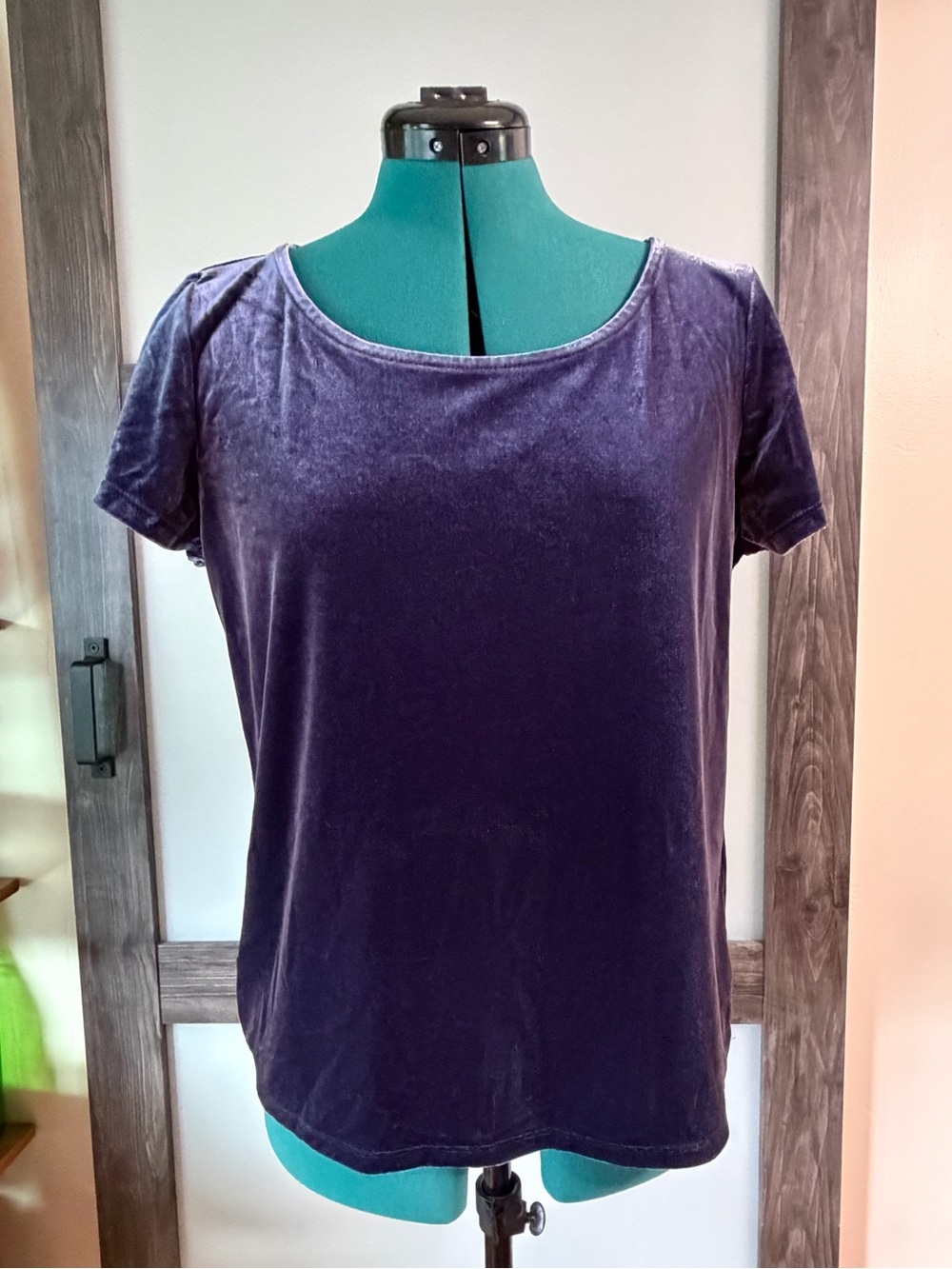 White House Black Market Velvet Short Sleeve Tee in Deep Plum